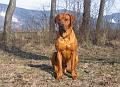 junior (2)